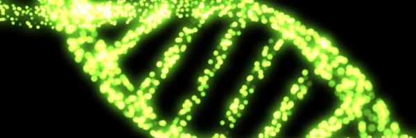 Parkinson's Disease And Stem Cell Treatment: What You Should Know